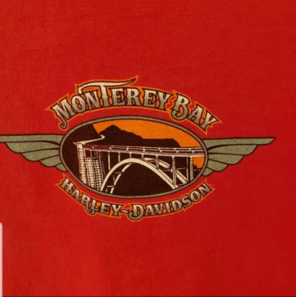 Harley Davidson Men's tee shirt size large - Picture 4 of 5